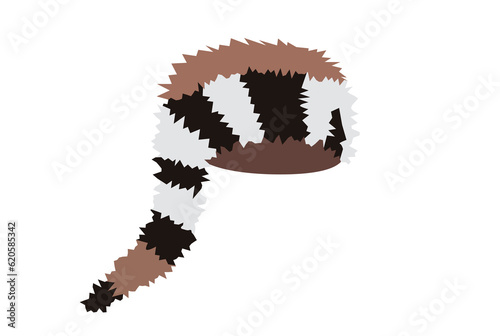 Coonskin cap USA hat American culture headdress art