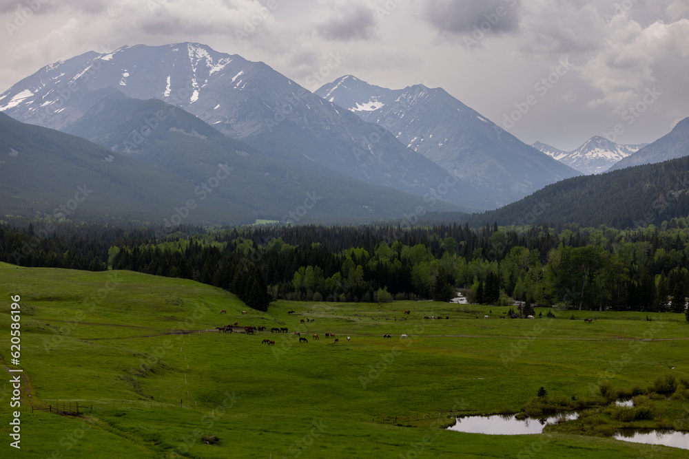 Montana Landscape