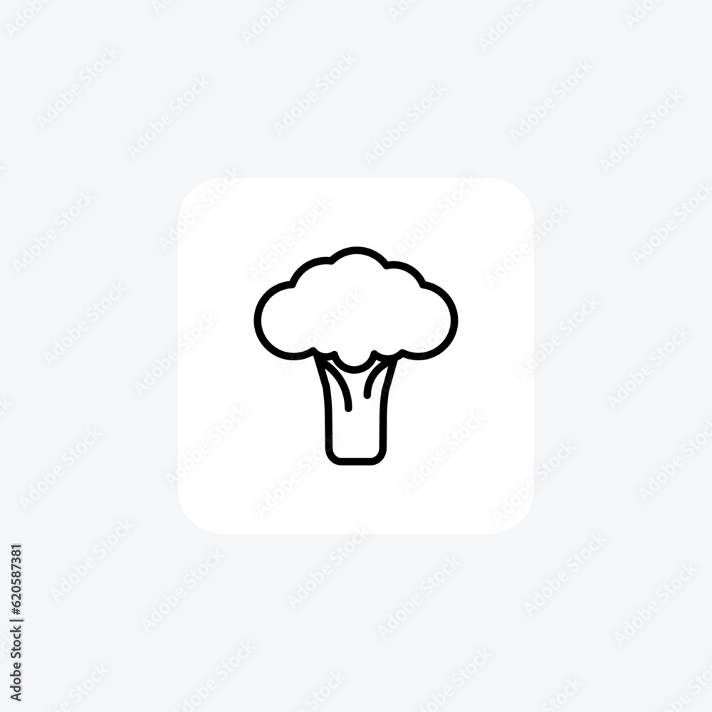 Nutritious Broccoli Vector Line Icon Nutritious Broccoli Vector Line Icon