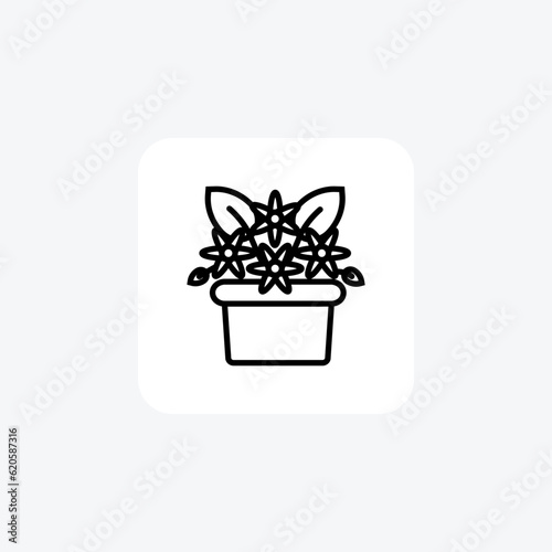 Exquisite Flower Vector Line Icon