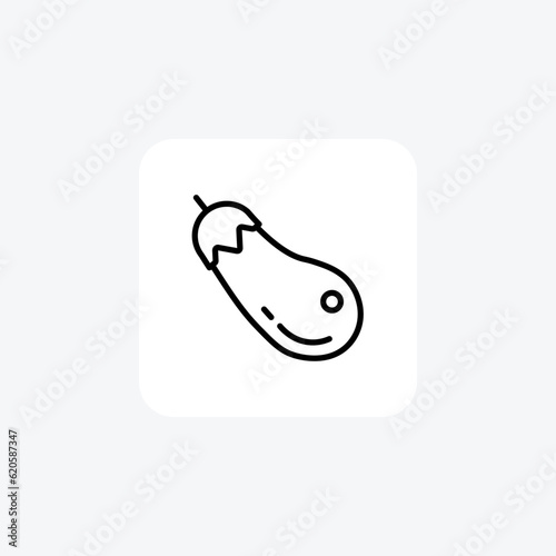 Exquisite Brinjal Vector Line Icon