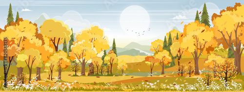 Autumn landscape scenery with morning sky and cloud over forest trees with fall leaves,Vector banner wonderful picturesque background with yellow foliage,Cartoon Colour Nature Fall season background