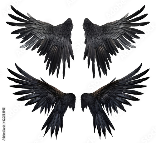 set of spread raven crow bird wings on transparent background