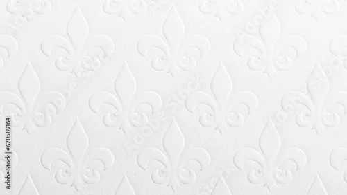 Fototapeta na wymiar Background backdrop canvas banner template wallpaper card greeting frame white embossed Fleur de lis textured paper minimal matte abstract blank empty copy space for design