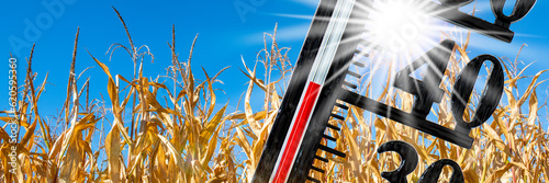 Obraz na plátně thermometer shows high temperature in summer heat with dryness and lack of wate