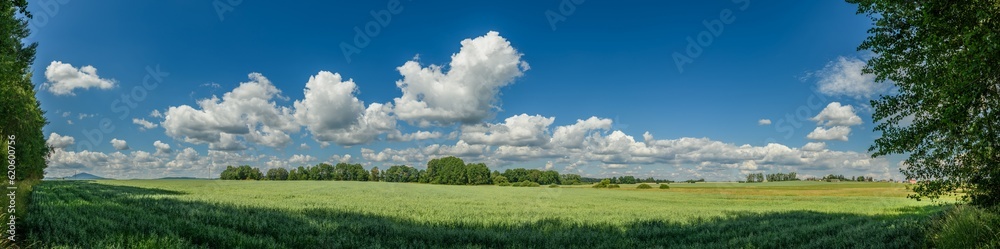 panorama view on country side with field and trees
