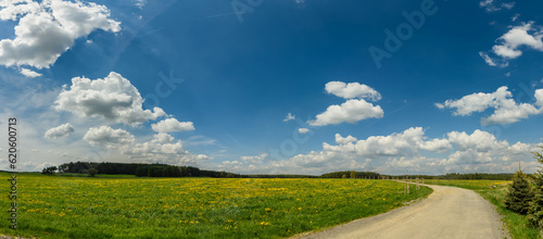 panorama of country side with dirt road, meadow, forest