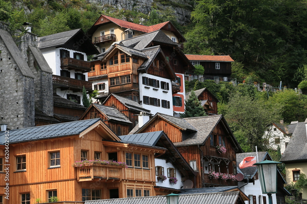 A row of wooden houses on a mountain side, Austria