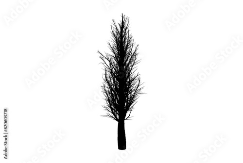 Tree silhouette botanic artwork seasonal wood shape art