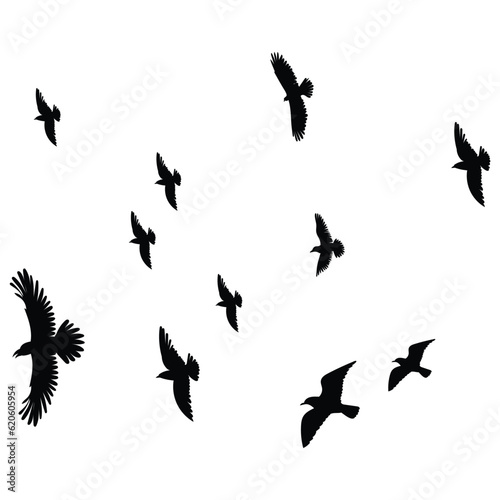 flock of birds © Arthit