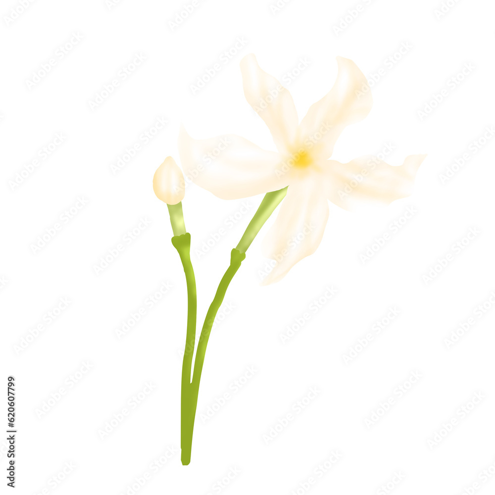 Fototapeta premium flower