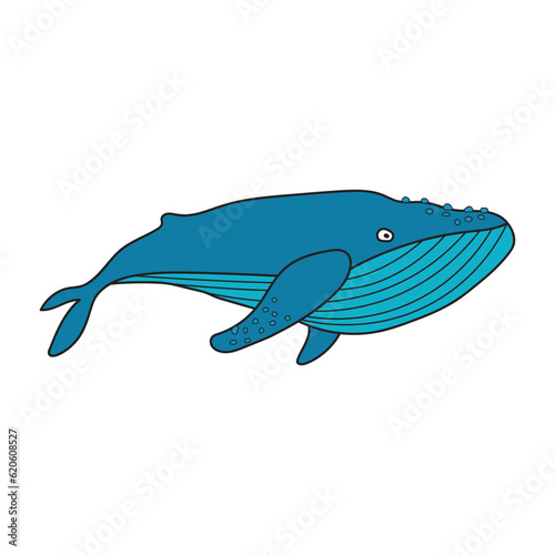 Kids drawing Cartoon cute blue whale Vector Illustration Isolated on White Background