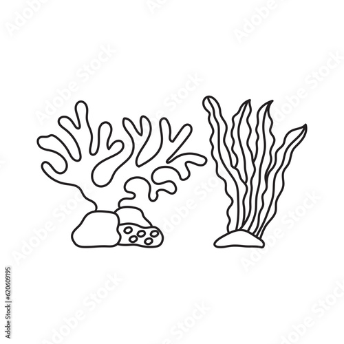 Hand drawn Kids drawing Cartoon ocean plants. Anemones  corals and seaweed  marine kelp  aquarium plants. Underwater reef flora