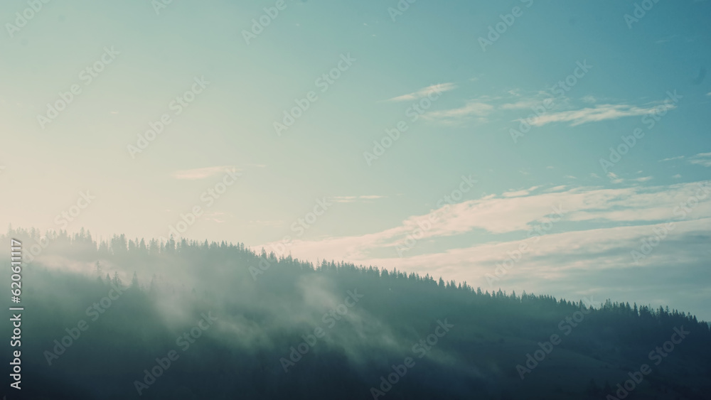 Fototapeta premium Carpathian mountains with fog at sunrise