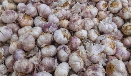 Garlic for cuisine 