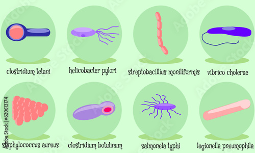 kind of bacterial include staphylococcus aureus, legionella pneumophia, clostridium tetani, clostridium botulinum, salmonella typhi, helicobacter pylori, vibrio cholerae, strepcobacillus moniliformi