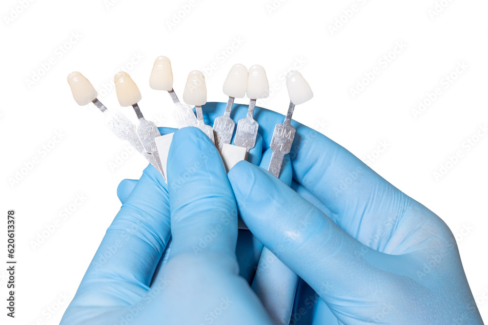 Doctor hands in medical sterile gloves hold shade guide bleach color, female veneer smile, dental care and stomatology, dentistry png isolated over white background