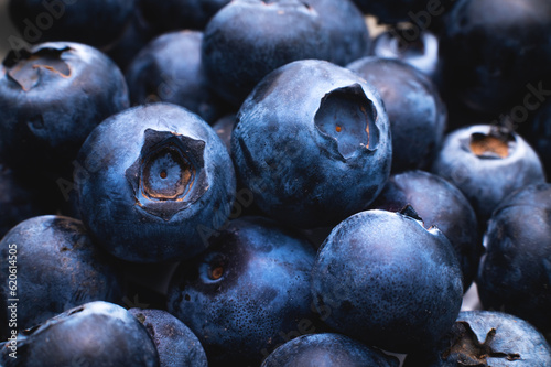 Group of fresh blueberries, close-up. macro studio shot photo