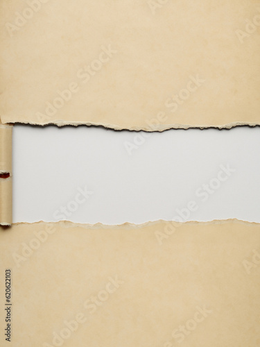 Textured Paper Background Ripped Edges