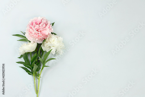 Abstract peonies flower composition on light background with place for text, summer banner for advertising, minimal holiday concept with flowers, greeting card for wedding, birthday, mother's day,