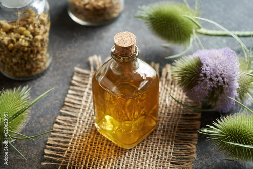 Принти на полотні Herbal tincture with wild teasel flowers - herbal medicine