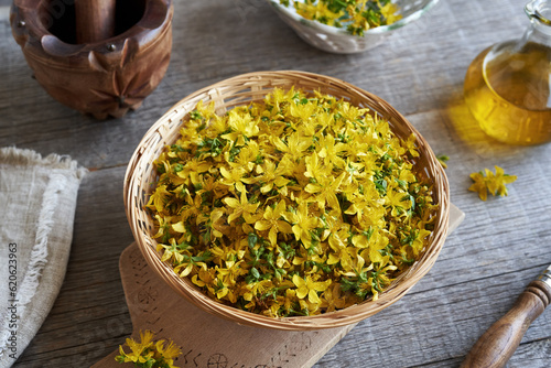 Tableau sur toile Fresh St. John's wort flowers in a wicker basket