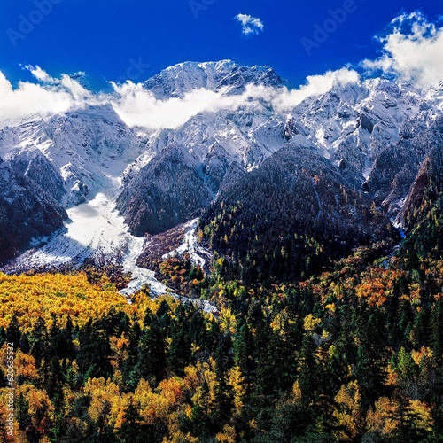 landscape of holy Tibetan snow mountains and forests