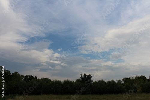 A field with trees and clouds in the sky