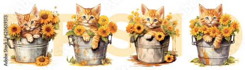 Watercolor painting style of orange kitten and flowers in water bucket, Vector Illustration