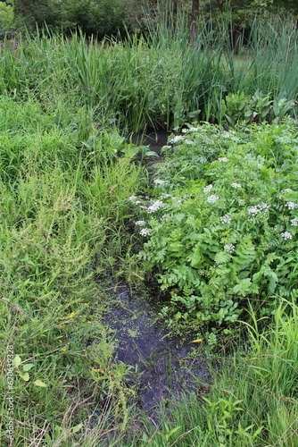 A stream of water in a grassy area
