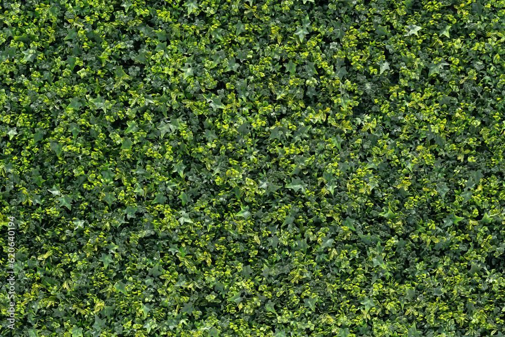 textura de muro con follaje decorativo artificial textura de muro con follaje decorativo artificial