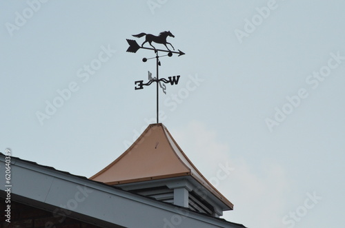 weathervane with galloping horse on a roof