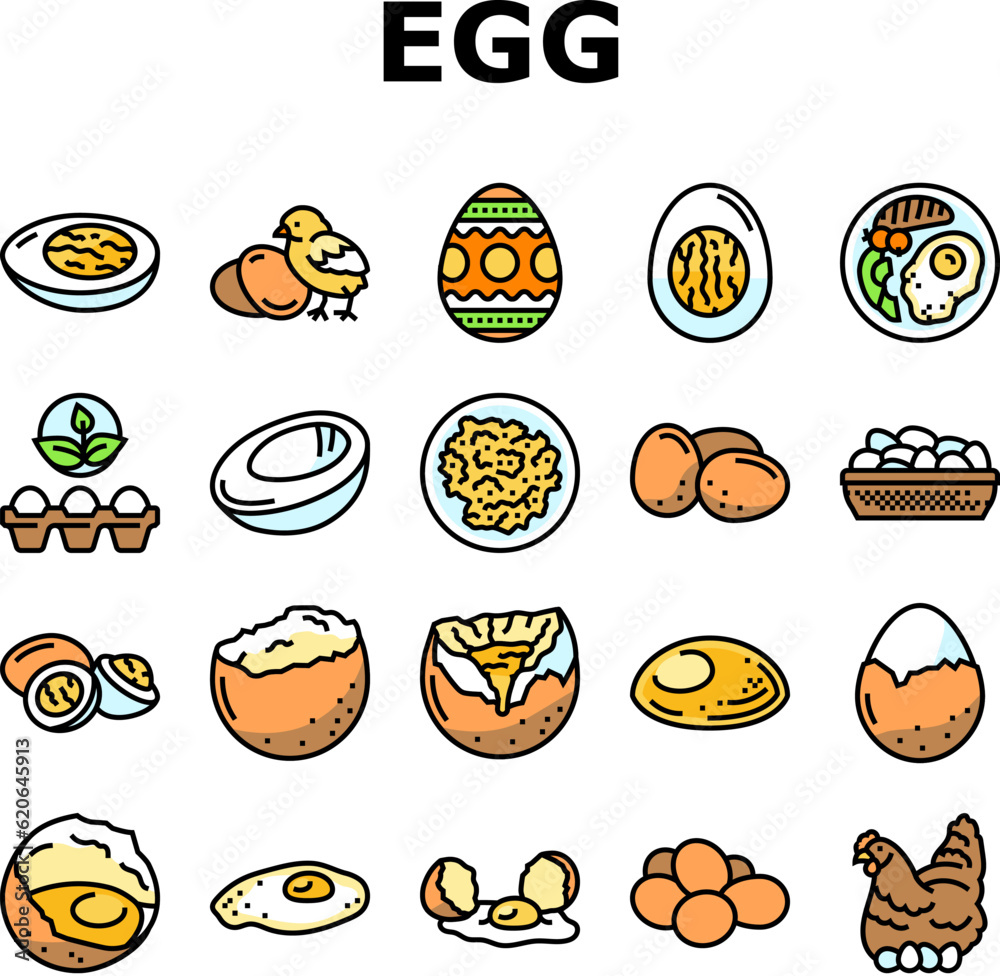 egg chicken farm food organic icons set vector. easter bird, animal breakfast, fresh healthy, ingredient protein, brown shell hen egg chicken farm food organic color line illustrations