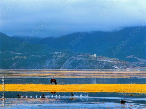 horse by the lake in the mountains