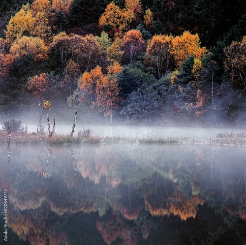 autumn colors on a lake