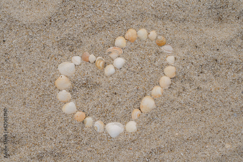 heart made of shells