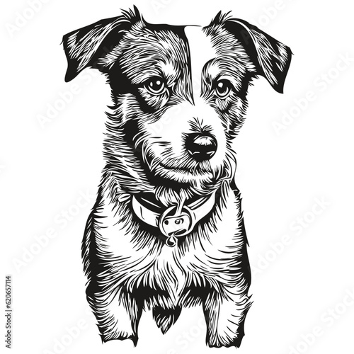 Obraz na płótnie Parson Russell Terrier dog logo vector black and white, vintage cute dog head en