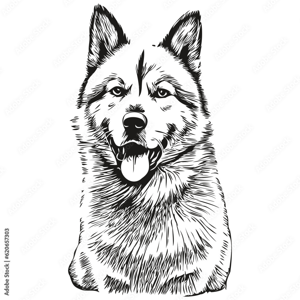 Akita dog hand drawn logo drawing black and white line art pets illustration realistic breed pet