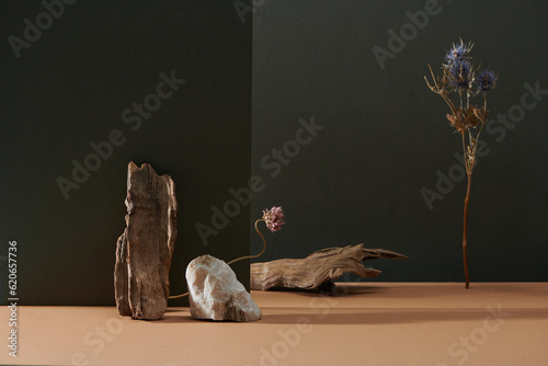 Natural background with dry flower and dried twigs photo