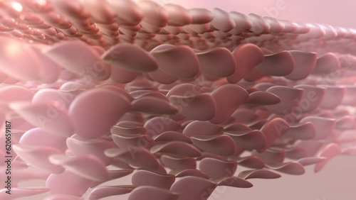 The ultraviolet light from the sun can be damaging to the skin. UV rays from the sun are dangerous to the skin. 3D animation