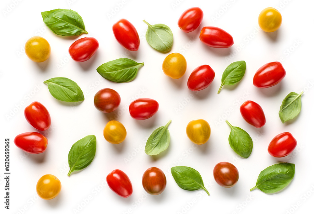 various colorful tomatoes and basil leaves various colorful tomatoes and basil leaves