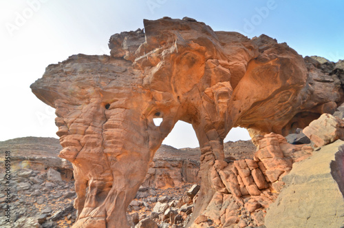 Sandstone erosion in the Algerian Sahara desert