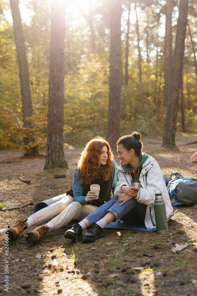 Friend smile spend time camp forest autumn Friend smile spend time camp forest autumn