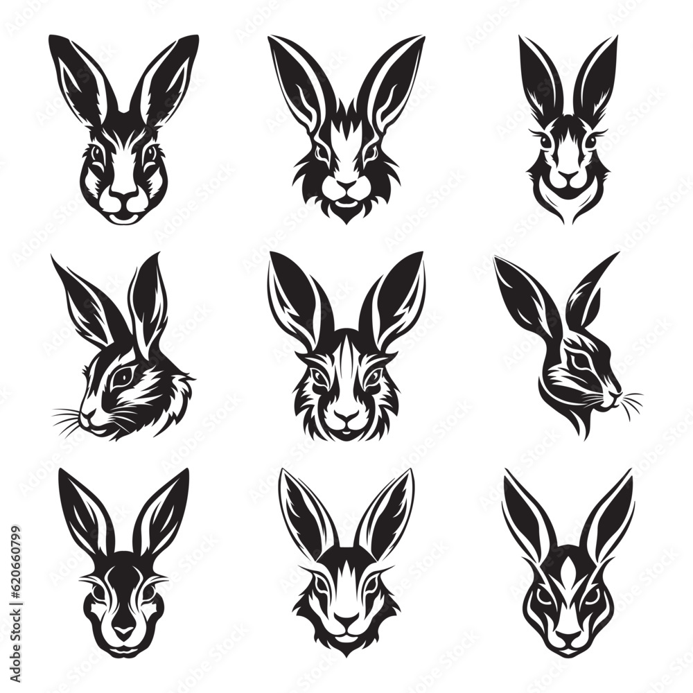 Obraz premium Hare logo set - Premium design collection - Vector Illustration