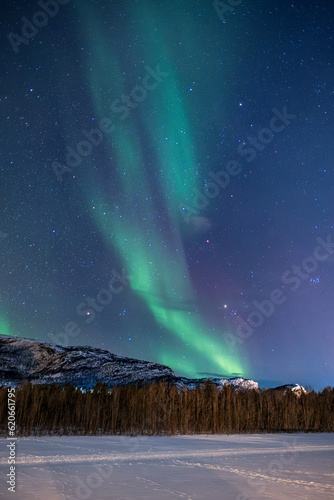 Aurora Borealis (Northern Lights) over the Alta River, near Alta, Arctic Cirle, Norway, Scandinavia photo