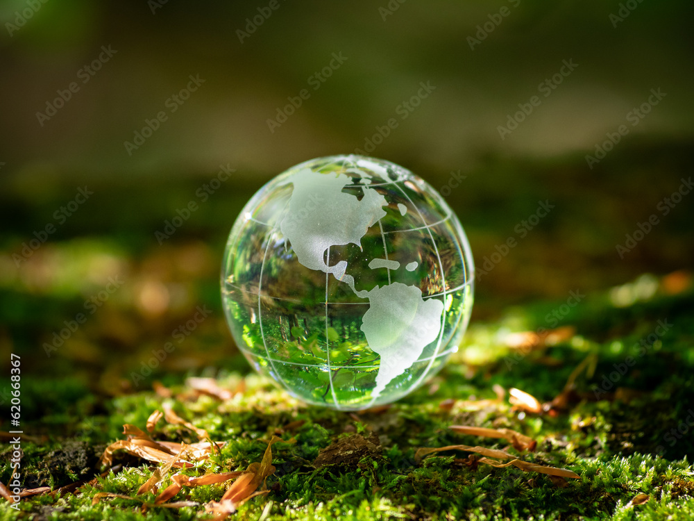 glass earth globe in forest.