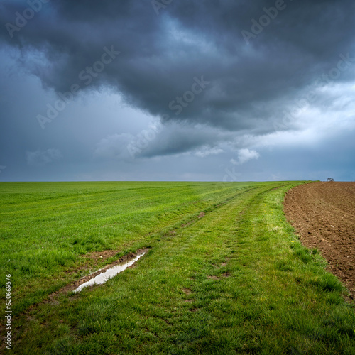 Paysage minimaliste, Epernay-sous-Gevrey, Bourgogne, France