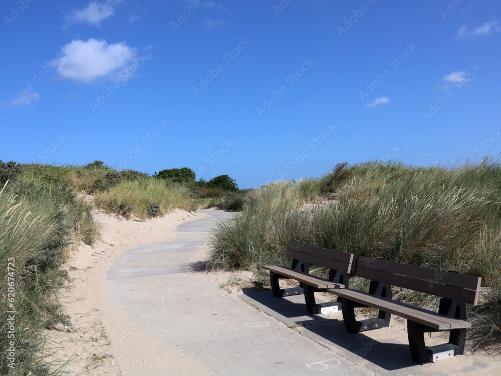 Landscape with a walking path and bench located on the dunes.