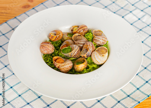 snails dishes, snails ready to eat. Restaurant serving in a deep white plate. Serving dish, snails in a plate. dinner in a restaurant. photo for restaurant menu 
