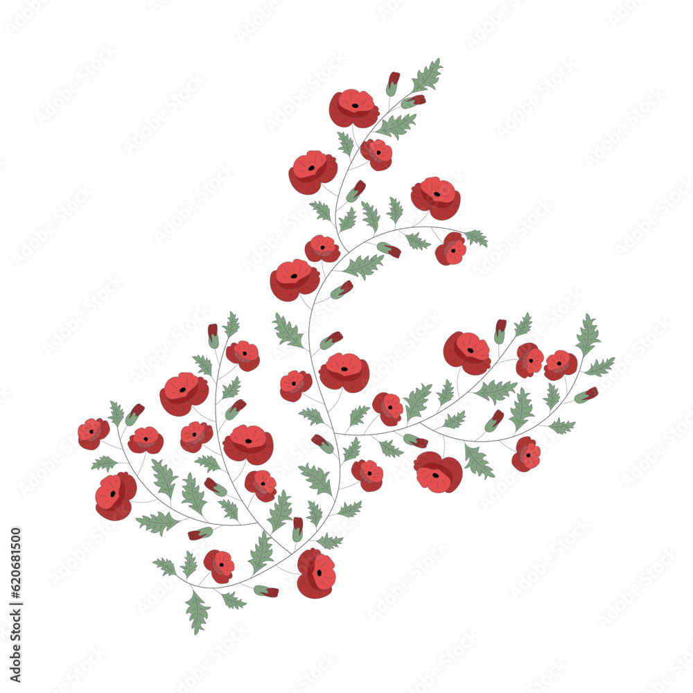 poppies flower branch vector graphics poppies flower branch vector graphics